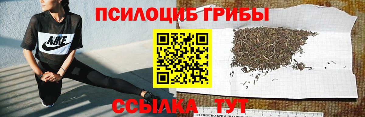 Псилоцибиновые грибы мицелий  Вход с VPN  Беслан 